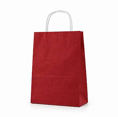 Burgu Saplı Bordo Kağıt Çanta 18x24x8 Cm - 1